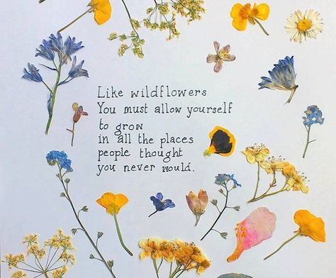 Quotes About Flowers Blooming, Wild Flower Quotes, Bloom Quotes, Daily Notes, Garden Quotes, Flower Quotes, Character Building, Blooming Flowers, Christian Life