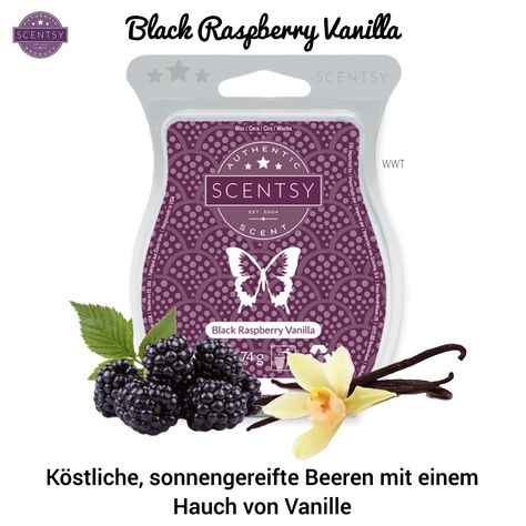 Black Raspberry Vanilla Scentsy, Scentsy Candles, Scentsy Bar, Black Raspberry Vanilla, Scentsy Bars, Black Raspberry, Raspberry, Lunch Box, Vanilla