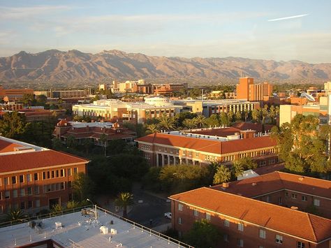 U Of Arizona, Mayan Empire, Special Needs Students, The University Of Arizona, First Time Parents, Top Colleges, Best University, Arizona State University, College Admission