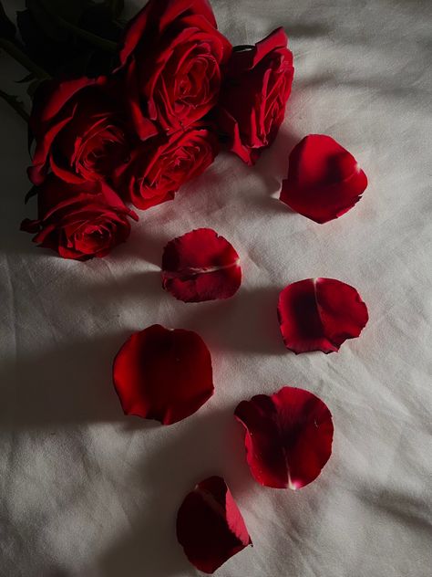 Red rose petals spreaded out towards camera, red rose aesthetic, romantic pictures, red rose photography Petals Aesthetic, Tinted Glasses, Red Rose Petals, Taurus Sign, Color Psychology, Grid Design, Beautiful Flowers Pictures, Magic Art, Music Covers