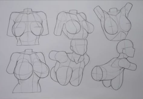 Breast Reference Drawing, How To Draw Breast Anatomy, Breast Anatomy Drawing, Breast Draw Reference, Drawing Breast, Female Torso Reference, Woman Anatomy, Body Type Drawing, Lady Parts