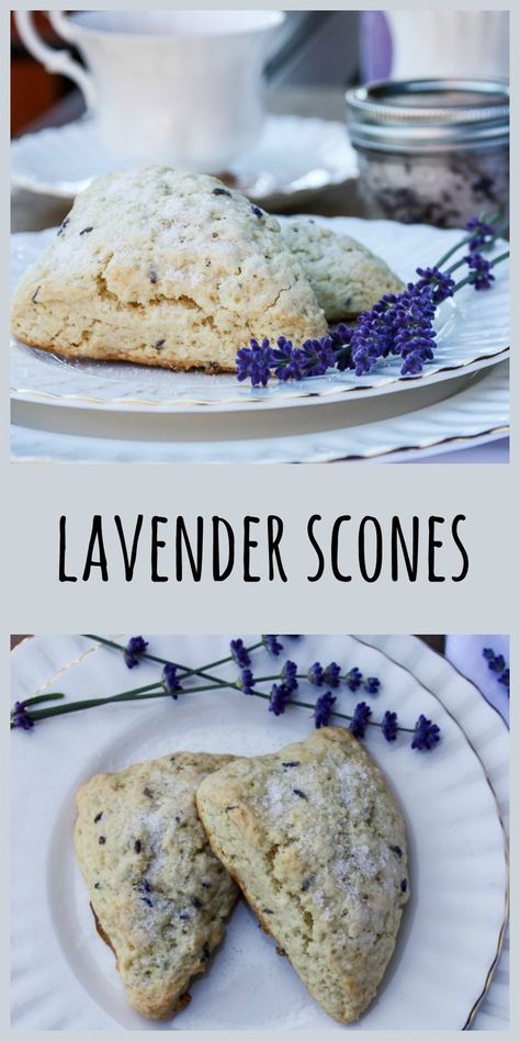 Lavender Scones Recipe, Lavender Scones, Sandwiches Recipes, Lavender Recipes, Lemon Scones, Culinary Lavender, Scones Recipe, Tea Sandwiches, Scone Recipe