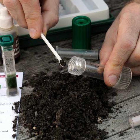 How to test your soil pH Soil Ph Test, Garden Prepping, Plant Tissue, Soil Testing, Soil Ph, Better Homes And Garden, Traditional Garden, Organic Matter, Garden Soil