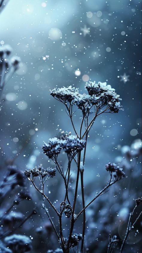 Winter Color Aesthetic, Bright Winter Aesthetic, Phone Lock Screen Wallpaper, Christmas Landscape, Snow Photography, Winter Flowers, Color Inspo, Simple Beauty, Winter Colors