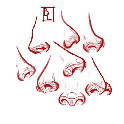 Nose Shape Drawing Anatomy Studies Angry Nose Drawing, Nose Reference Drawing Cartoon, Nose Shape Reference Drawing, Nose Studies, Scrunched Nose Drawing Reference, Nose Guide Drawing, Nose Angels Drawing, Nose Shapes Drawing, Different Nose Types Drawing