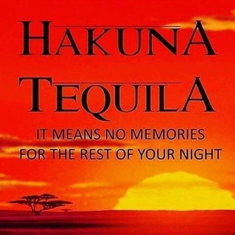 Hakuna Tequila Tequila Quotes Funny, Tequila Quotes, Bar Quotes, Alcohol Quotes, Tuesday Humor, Alcohol Humor, Drinking Quotes, Wine Humor, Funny Signs