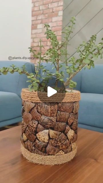 dekorhomedekor on Instagram: 👏👏👌👌 Repost from @plants.diy.upcycle 👏👏 DIY planter with coconut shells and coir.. #diy #planter #coconutshellart #coconutshellcraft… Diy Coconut Shell Crafts Ideas, Bottle Plants Ideas, Coconut Shell Painting Ideas, Coconut Shell Crafts Diy, Pot Decorating Ideas Indian, Coconut Shell Art, Coconut Decoration, Pots Ideas, Coconut Shell Crafts