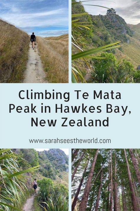 The Te Mata Peak hike in Hawkes Bay New Zealand is a short, beautiful climb with stunning scenery. Te Mata Peak, Hawkes Bay New Zealand, Hawkes Bay, Stunning Scenery, Redwood Tree, Redwood Forest, Mountain Bike Trails, Hill Climb, Bay View