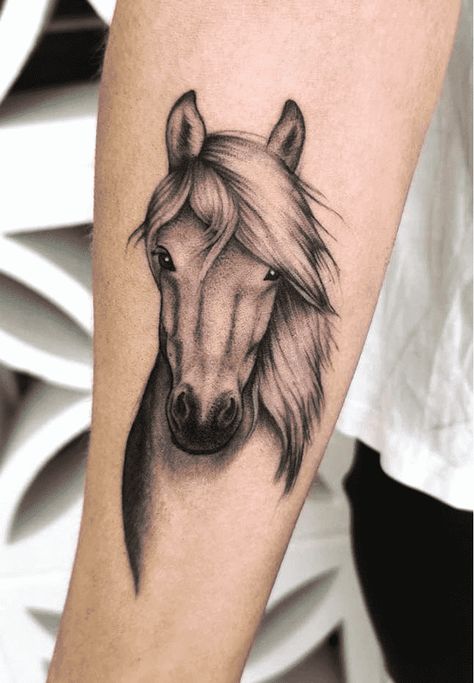 Horse Arm Tattoos For Women, Horses Tattoo Ideas, Ffa Tattoo, Horse Tattoo Stencil, Horse Tatoos Ideas, Horse Tattoos For Women, Horse Heart Tattoo, Tattoo Ideas Horse, Horse Tattoo Ideas For Women