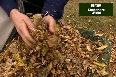 Make leaf mould from fallen autumn leaves, to create a versatile soil conditioner - Monty Don explains how in this practical clip from Gardeners' World TV programme. Leaf Mould, Garden Tools Decor, Garden Tool Box, Garden Tool Holder, Vertical Pallet Garden, Garden Mulch, Garden Tool Rack, Garden Tool Organization, Monty Don