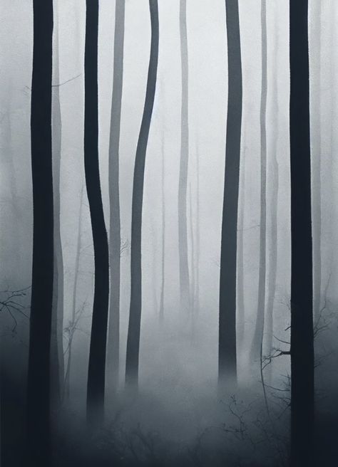 Foggy Forest Black And White, Forest Painting Black And White, Foggy Forest Drawing, Forest Fog Painting, Black And White Forest Drawing, Spooky Forest Drawing, Forest Fog Aesthetic, Dark Forest Drawing, Fog Drawings