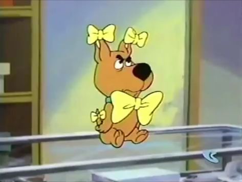 Scrappy Scooby Doo, Scooby Doo And Scrappy Doo, Scooby Doo Pfps, Scooby Doo Pfp, Scooby Doo 1969, Scooby Dog, Scooby Doo Pictures, Scooby Doo Mystery Inc, Scooby Doo Images