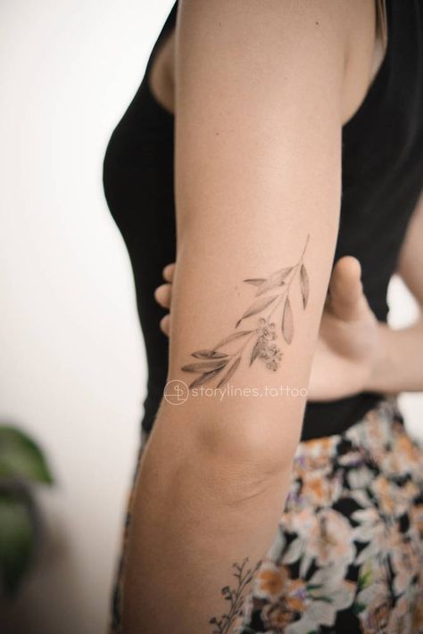 Olive Branch Tattoo With Flowers, Leave Branch Tattoo, Olive Branch Drawing Tattoo, Olive Branch Tattoo Back Of Arm, Olive Blossom Tattoo, Olive Branch Tattoo Upper Arm, Willow Branch Tattoo Arm, Olive Branch With Flowers Tattoo, Oliver Branch Tattoo