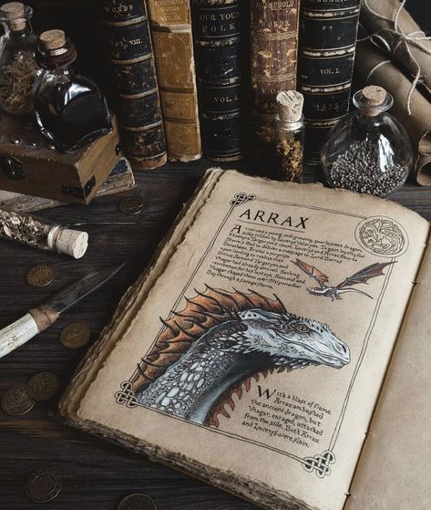 Vermithor Dragon, Moonstone Locket, House Targaryen Aesthetic, Daenys Targaryen, Dragon Aesthetic, Dragon Anatomy, Scrolls Game, Fire And Blood, Got Dragons