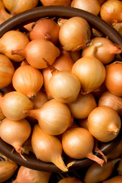 Onion Image, How To Plant Onions, Onion Pictures, Plant Onions, Planting Onion Sets, Vegetables Side Dishes, Onion Plant, Massive Garden, Grow Onions