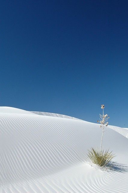 White Sands New Mexico, Era Victoria, White Sands National Monument, Wow Photo, White Desert, Land Of Enchantment, To Be, National Monuments, Nature Landscape