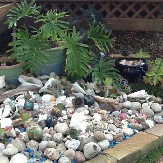 Sea shell garden. If only I lived by a beach Sea Shell Garden Ideas, Winter Camp Ideas, Seashell Garden, Nautical Landscaping, Beach Theme Backyard, Beach Theme Garden, Shell Garden, Nautical Garden, Beach Landscaping