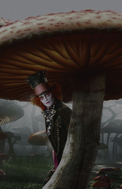 Mad Hatter Pictures, Alice In Wonderland Time, جوني ديب, Dark Alice In Wonderland, Alice In Wonderland Illustrations, Alice In Wonderland Aesthetic, Tim Burton Style, Aesthetic Grunge Tumblr, Tim Burton Art