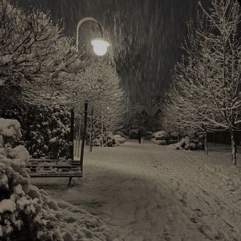 Phillip Graves, Snowy Night, Dark Christmas, I Love Winter, Winter Inspo, Winter Love, Winter Scenery, Winter Vibes, Winter Pictures