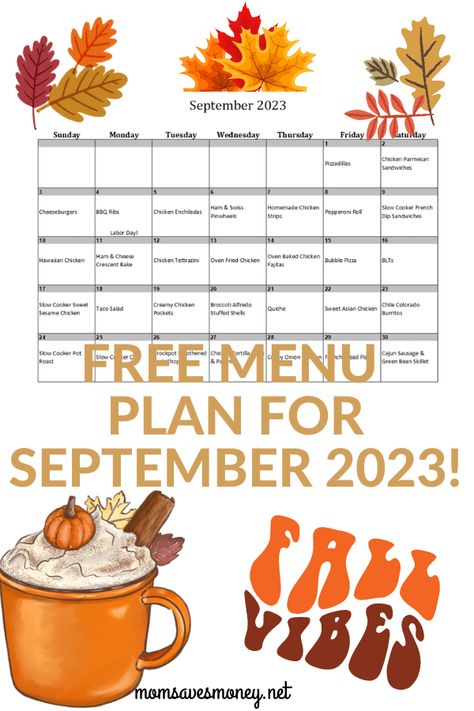 Keep stress in the kitchen to as minimal as possible with this menu plan for September 2023. Includes printable meal plan calendar with 30 easy, family-friendly, homemade recipes the whole family will love. This done-for-you meal plan makes cooking family dinner and saving money easy! Get the meal plan now. Monthly Meal Plans For Family, October Menu Plan, Sept Meal Plan, September Meal Plan Calendar, September Menu Plan, Menu For The Week Families, September Meal Ideas, September Meal Plan, Chicken Tettrazini