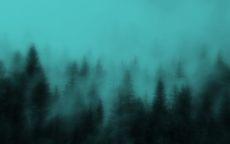 #twilight #twilightcore #fairygrunge #fairycore Teal Wallpaper Desktop, Beautiful Wallpapers Backgrounds For Pc, Twilightcore Wallpaper, Fairycore Wallpaper, Macbook Air Wallpaper, Dark Forest Aesthetic, Dark Fairycore, Grunge Pictures, Dark Tree