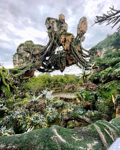 Pandora Disney Animal Kingdom, Pandora Disney World, Avatar Disney World, Animal Kingdom Pandora, Disney Pfp, Avatar Disney, Kingdom Aesthetic, Avatar James, World Of Pandora