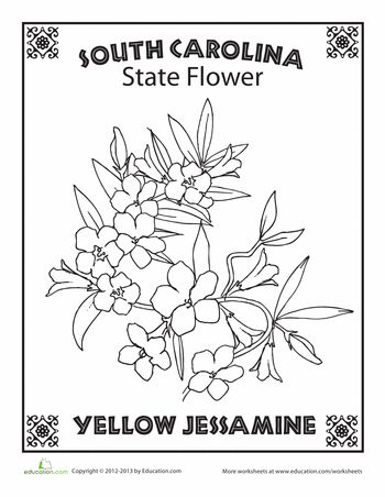 Worksheets: South Carolina State Flower Yellow Jessamine Drawing, Carolina Jessamine Tattoo, Yellow Jessamine Tattoo, State Flower Tattoo, South Carolina State Flower, Flower Worksheet, South Carolina Tattoo, Yellow Jessamine, Geography Printables