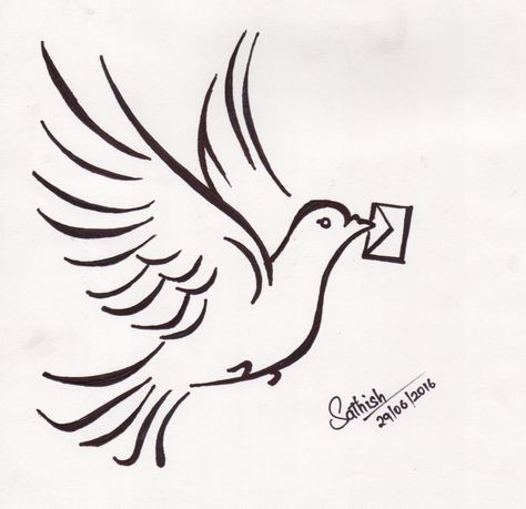 Pigeon Art! #sathishlive #art #sketch #InstaPic #Drawing #Picture #Bird #Letter #pigeon #pura #paravai #pen #pendrawing #pendrawings #pencil #live Pegion Bird Drawing Sketch, Pigeon Line Art, Pigeon Art Drawing, Pigeon Sketch, Pigeon Drawing, Pigeon Logo, Pigeon Art, Embroidery Jeans Diy, White Pigeon