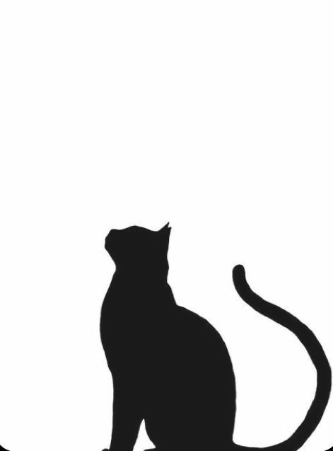 Cats Silhouette, Cat Silhouette Tattoos, Silhouette Arte, Silhouette Chat, Black Cat Drawing, Black Cat Illustration, Cat Shadow, Black Cat Aesthetic, Cat Template