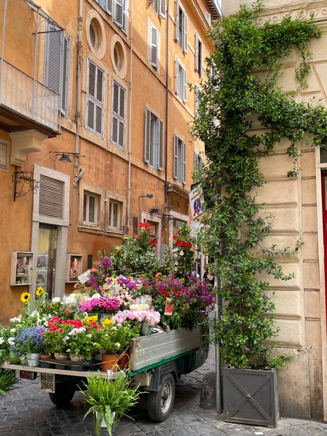 Flowers In Italy, Roma City, Italy Flowers, Italia Aesthetic, Rome Italy Aesthetic, Italian Flowers, Italy Country, Rome Streets, Italy House