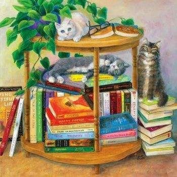 Sunsout Puzzles, Cat Ages, Cat Art Illustration, 500 Piece Jigsaw Puzzles, 500 Piece Puzzles, Anne Of Green, Display Boxes, Book Nerd, States Of America