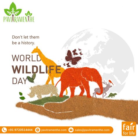 World Wildlife Day | Pavitramenthe Fair Organic Pvt Ltd Wildlife Day Poster, Pollution Pictures, World Wildlife Day, Medical Brochure, International Days, Creative Post, Education Poster Design, Wildlife Day, Save Wildlife