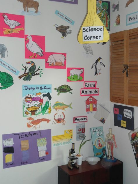 science corner Science Corner Preschool, Science Corner Classroom Ideas, Science Corner, Pet Corner, Corner Decor, Animal Science, Starting School, Grade 4, Reference Poses