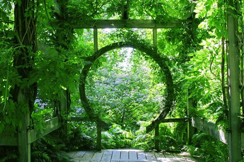 Moon Gate Door, Vertical Planting, Pine Garden, Attic Window, Wooden Trellis, Gate Ideas, Building A Pergola, Book Giveaway, Vertical Gardening