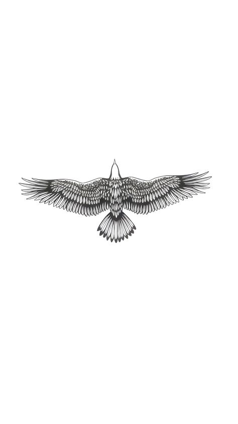 Imperial Eagle Tattoo, Eagle Bird Tattoo, California Condor Tattoo, Dainty Eagle Tattoo, Cactus Wren Tattoo, Eagles Band Tattoo, Ecuador Tattoo Ideas, Fine Line Eagle Tattoo, Tattoos On Elbow