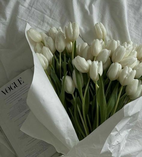 White Tulips, Tulips, Bed, White, Instagram