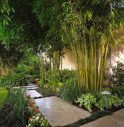 Tropical Landscape Design, Japanese Garden Landscape, Tropical Garden Design, Japanese Garden Design, Asian Garden, Bamboo Garden, Walled Garden, Garden Edging, Small Garden Design