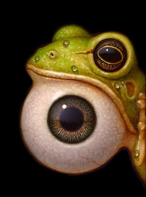 Naoto Hattori, On Board, Water, Green, On Instagram, Instagram, Art