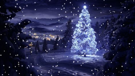 🎄 Decorated Outdoor Christmas Tree in the Snow Snow Falling Gif, Christmas Tree Gif, Falling Gif, Christmas Instagram Pictures, Snow Gif, Holiday Gif, Christmas Lyrics, Picture Tree, Snow Falling