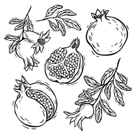 Pomagranet Drawing Reference, Pomegranate Stencil, Pomegranate Branch, Pomegranate Vector, Pomegranate Drawing, Pomegranate Leaves, Pomegranate Fruit, Metal Embossing, Leaves Vector