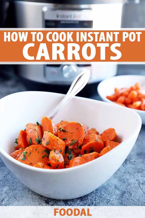 For a quick and easy side dish, everyone should know how to cook carrots in the electric pressure cooker. It doesn’t matter if you love regular or baby versions of the vegetable, this guide shows you everything you need to know to cook them perfectly. Read more now on Foodal. #easysidedish #pressurecooker #foodal How To Cook Carrots, Instant Pot Carrots, Cook Carrots, Brown Sugar Carrots, Butter Glaze, Cooked Carrots, Easy Side Dish, Glazed Carrots, Electric Pressure Cooker