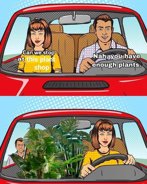 Plant Jokes, Bye Felicia, Plant Parent, Plants Are Friends, Diy Backyard Landscaping, Bedroom Plants, Plant Aesthetic, Creative Gardening, Seriously Funny