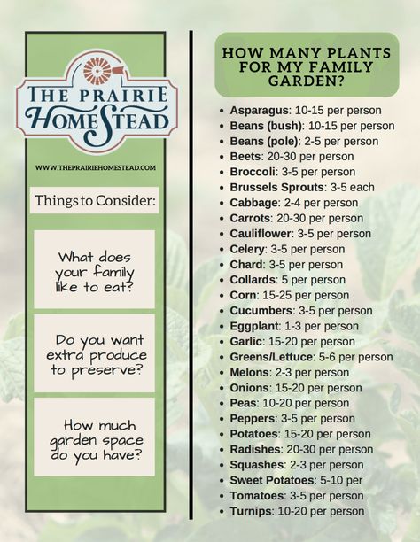 How Much to Plant Per Person in the Garden • The Prairie Homestead Plantarea Legumelor, Prairie Homestead, Homestead Gardens, Victory Garden, Organic Vegetable Garden, Survival Gardening, Family Garden, Organic Gardening Tips, Food Garden