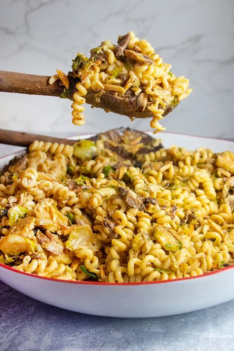 Brussel Sprout Pasta, Mushroom Recipes Pasta, Mushroom Pasta, Brussels Sprouts, Cream Sauce, Couscous, Brussel Sprouts, Brussels, Pasta Dishes