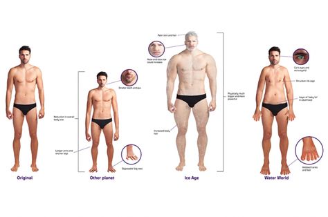 artist's concept of future men Future Human Evolution, Future Human, University Of Kent, Baby Fat, Human Evolution, Sea Level Rise, Physical Features, Engineering Technology, Environmental Issues