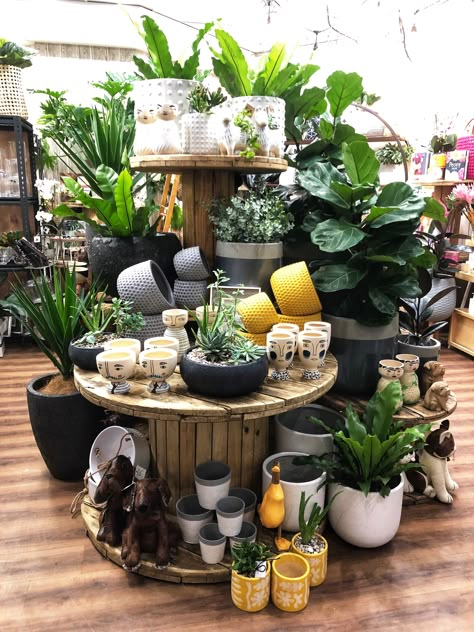 Plant Pot Display, Pot Display, Flower Pot Display Ideas, Plant Boutique Ideas, Greenhouse Display Ideas, Retail Plant Display Ideas, Plant Displays Retail, Plant Booth Display, Plant Retail Display