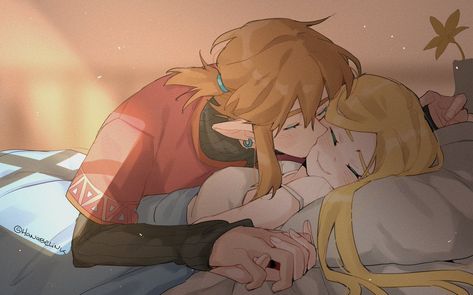 Botw Zelink, Princesa Zelda, Link Art, Link Zelda, Zelda Art, Legend Of Zelda Breath, Cute Couple Art, Breath Of The Wild, The Legend Of Zelda