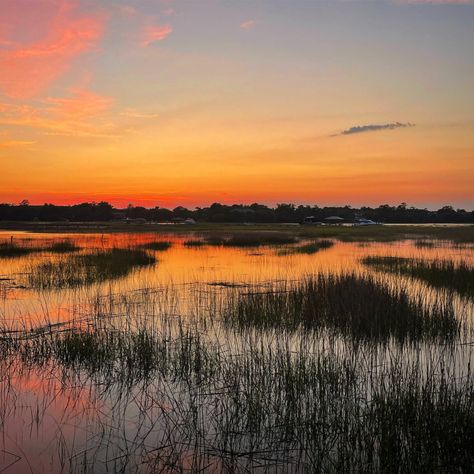 Views of the Lowcountry – 22 New Photographic Images of Charleston, SC - Charleston Daily Island Sunset, Beautiful Skies, Beard Styles For Men, Low Country, Beautiful Sky, Beard Styles, Charleston Sc, The Natural, Charleston