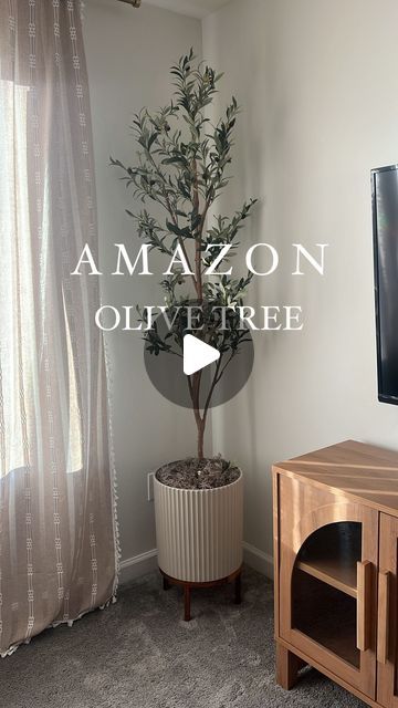 Kimberly Burke on Instagram: "LOVE how this little corner of my loft turned out! 🤩 How Beautiful and Realistic is this Olive Tree 🫒🕊️ 

This gorgeous fluted Planter is the perfect neutral color and the wood stand was so easy to put together. & I’m blown away by the quality, detail and color of the Artifical olive tree. The dark green leaves and natural wood trunk looks So Realistic & I CANNOT believe it’s under $50 Right Now! 

Comment HOME & I’ll message you the 🔗

#amazonhomemusthaves2024 #foryou #amazonhome #amazonfavorites #asmr #myfavoritethings #amazonprime #amazon #Itkunder100 #Itkunder50 #Itkhome #homedecor #olivetree #homedecorideas" Fluted Planter, Lakeside House, Dark Green Leaves, Wood Trunk, Olive Tree, Wood Stand, Amazon Home, Neutral Color, How Beautiful