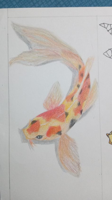 Koi Fish Drawing Colored Pencil, Pencil Colour Drawing, Koi Fish Colors, Koi Fish Drawing, Colour Drawing, Fish Drawing, Pencil Drawings Of Animals, Crayon Drawings, Fish Drawings